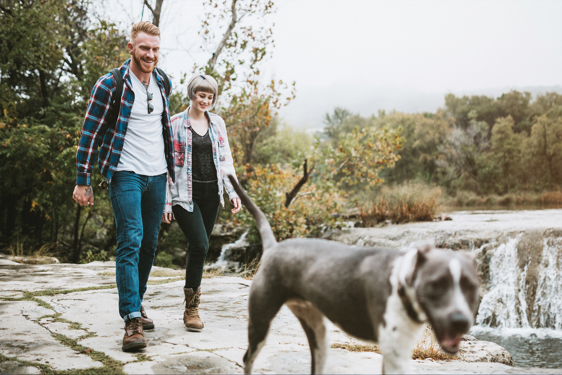 Two people walking a dog